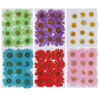 12 Adet/torba Preslenmiş Papatya Kurutulmuş Çiçek Kolye Kolye Reçine Takı Yapımı DIY El Sanatları Sanat YENİ